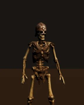 Skeleton